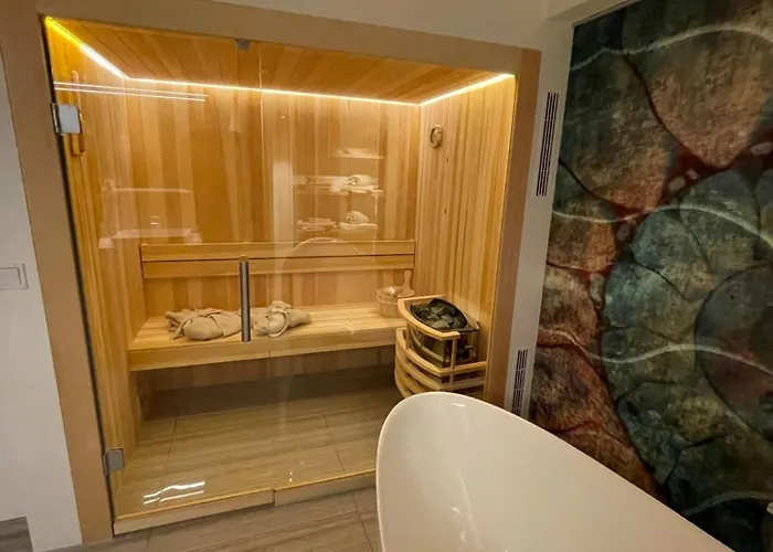 Luxurioeses Loft Mit Grosser Sonnenterrasse & Sauna