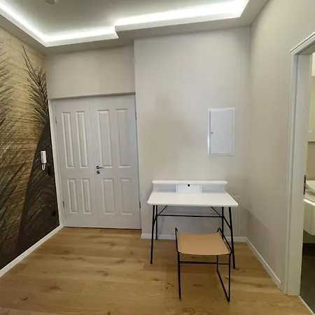 Luxurioeses Loft Mit Grosser Sonnenterrasse & Sauna Apartment