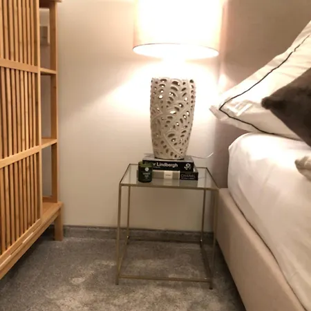 Luxurioeses Loft Mit Grosser Sonnenterrasse & Sauna *